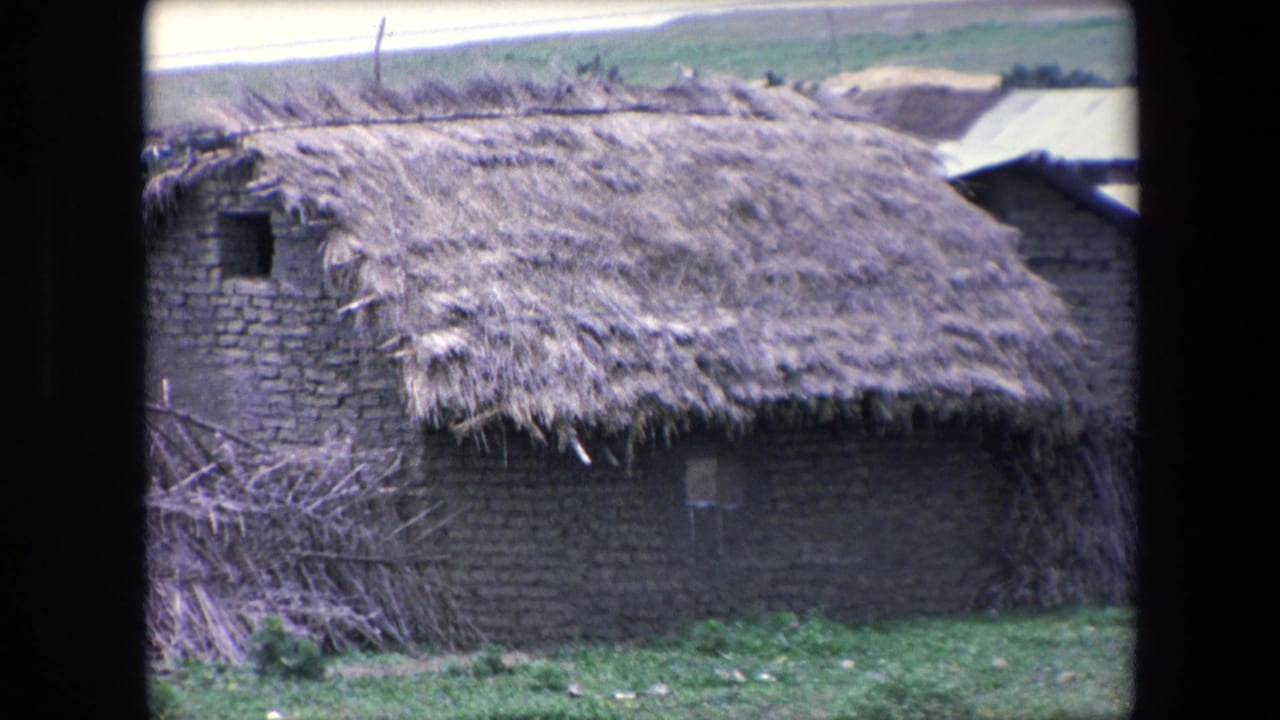 The frame shows a weathered thatched dwelling in Algeria, filmed on 8mm in 1971, with a small window, brush, grass, and low open terrain behind it.