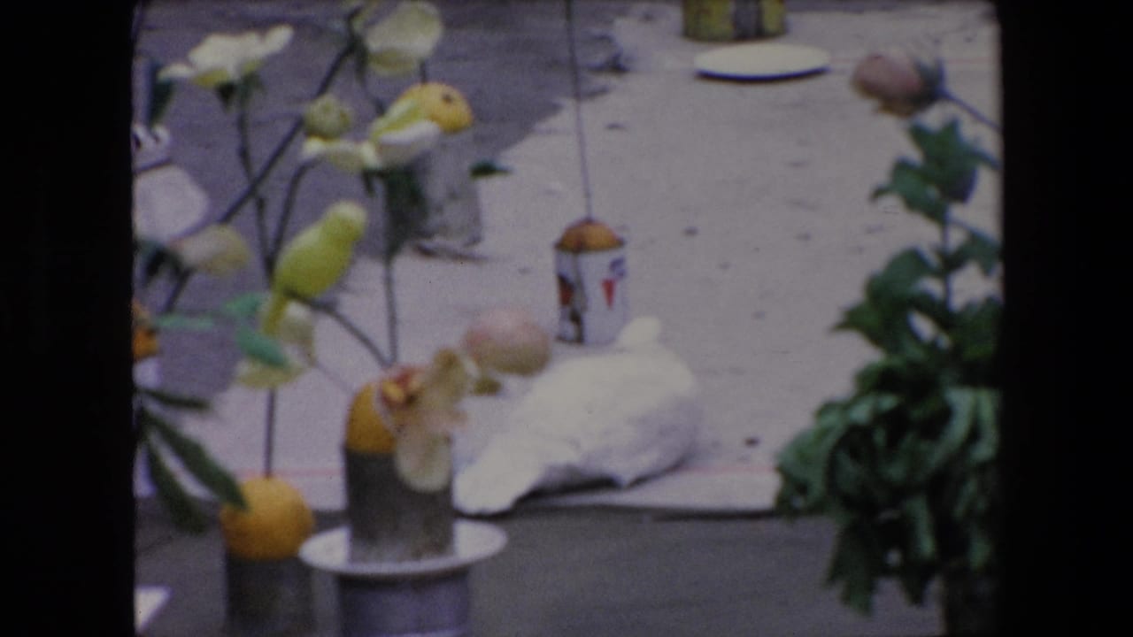 Tight crop of flowers, yellow fruit, containers, a white bundle, and greenery on the ground.