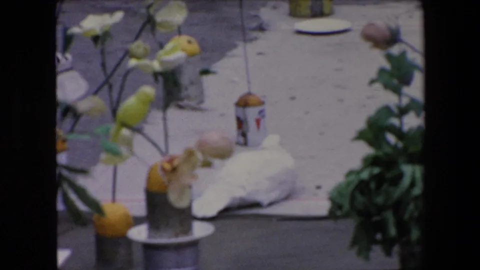 1971 Algeria 8mm frame showing a closer ground-level view of artificial flowers, yellow fruit, small containers, a white bundle, and greenery within the outdoor display.