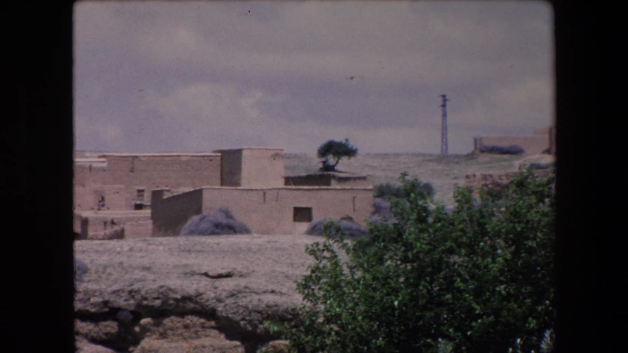 Mud-brick buildings, foreground greenery, and a distant utility pole in an arid village view.