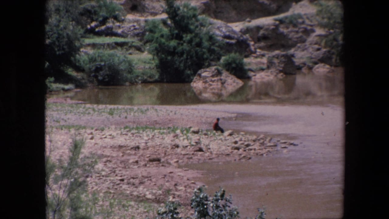 Wide riverbank view with a seated figure, shrubs, rocks, and muddy water.