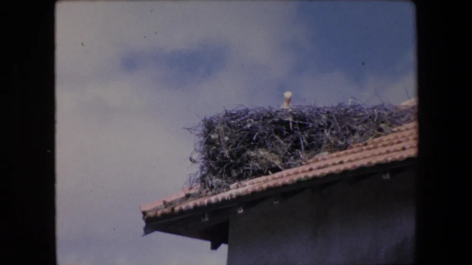 1971 Algeria 8mm frame showing a stork and large nest on the edge of a red tiled roof beneath a bright partly cloudy sky.