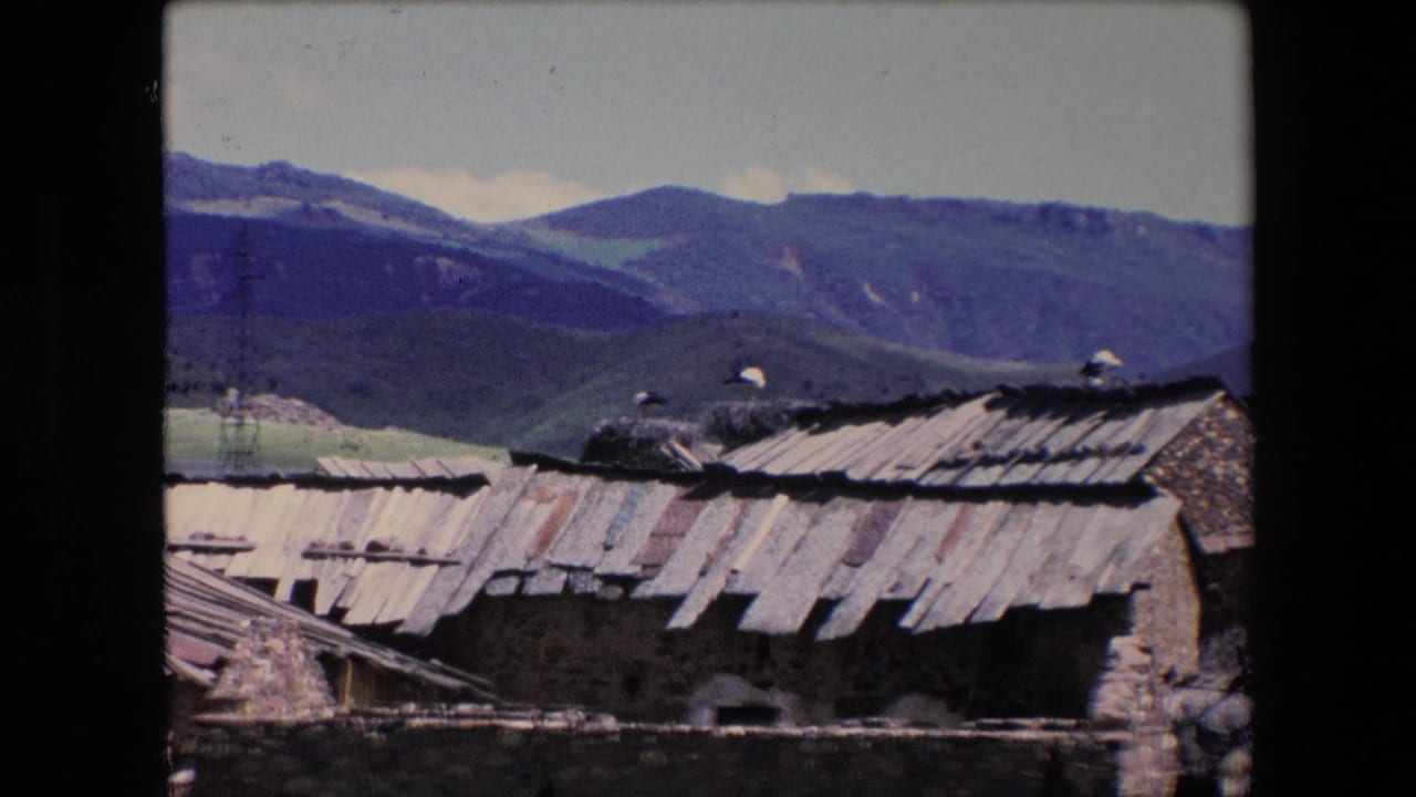 1971 Algeria 8mm frame of low stone buildings with corrugated metal roofs, rooftop stork nests, and mountains in the background.