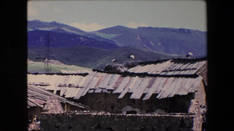 1971 Algeria 8mm frame showing patched metal roofing, rough stone walls, rooftop nests, and distant mountains beyond the buildings.