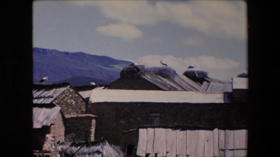 1971 Algeria 8mm frame showing stone buildings, corrugated roofs, visible storks on rooftop nests, and blue-green hills under a partly cloudy sky.