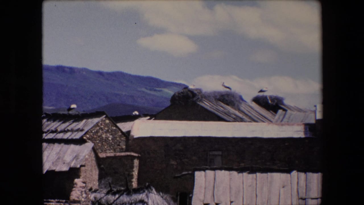 1971 Algeria 8mm frame showing weathered stone buildings, pale roof panels, stork nests, and blue hills in the background.