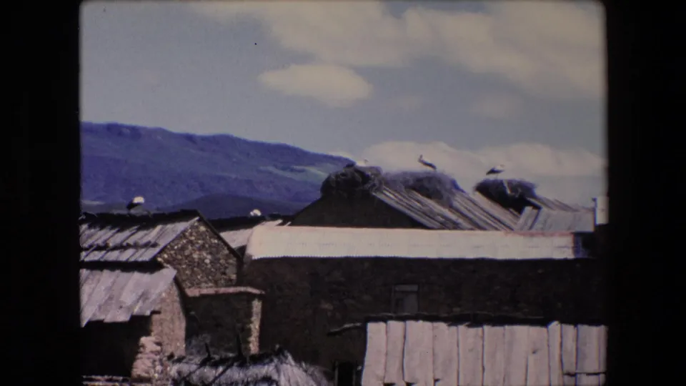 1971 Algeria 8mm frame showing weathered stone buildings, pale roof panels, stork nests, and blue hills in the background.