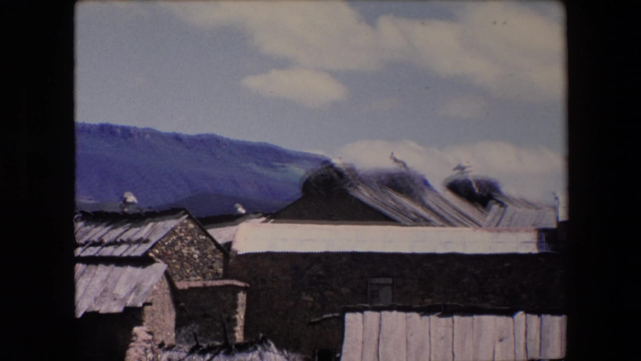 Weathered rooftops and stork nests in front of a hilly landscape.