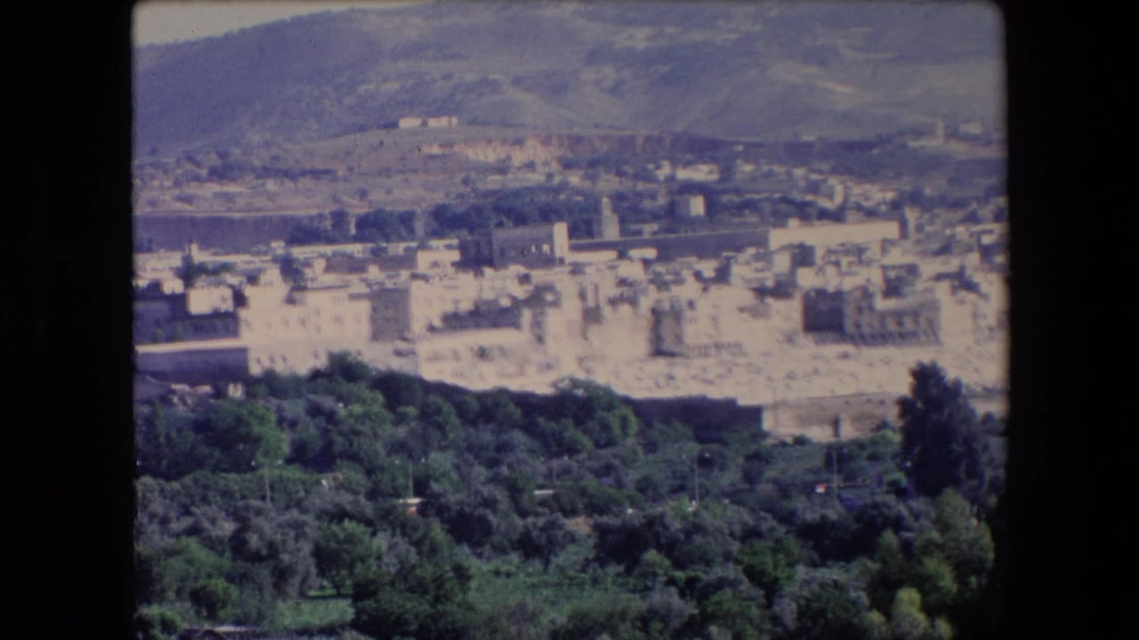 1971 Algeria 8mm frame showing an elevated view across green foreground trees toward a pale historic town and dry hills in the distance.