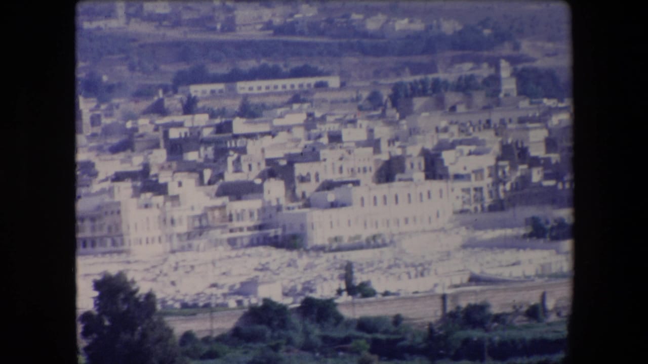 1971 Algeria home-movie frame showing a distant town of white flat-roofed buildings above dark foreground trees and a cemetery-like field of pale markers.