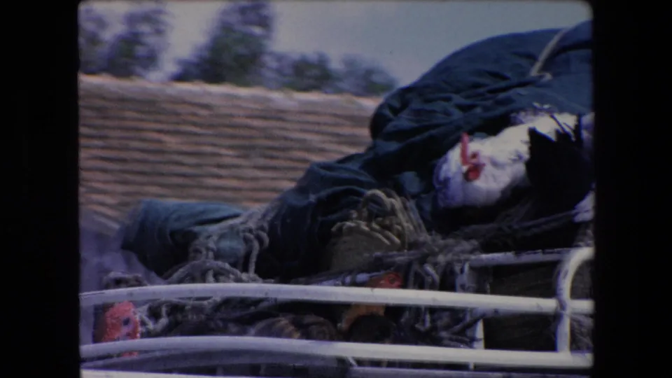 Brief 1971 Algeria 8mm frame showing a dark bundled or costumed object with light face-like material near a railing, with a sloped textured surface behind it.