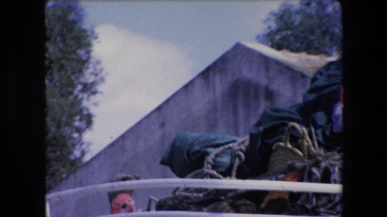 1971 Algeria 8mm frame showing fowl packed among woven baskets and dark fabric behind a white vehicle rail, with trees and sky in the background.