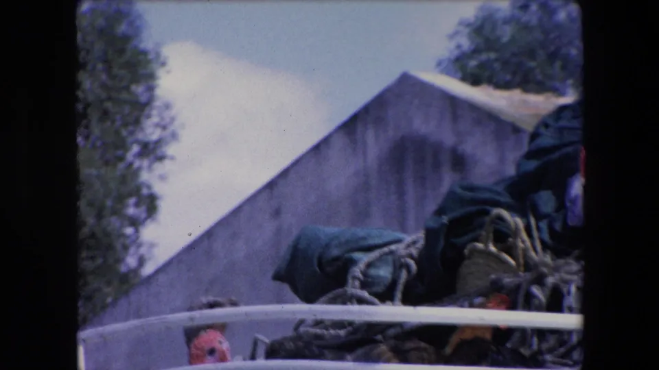 1971 Algeria 8mm frame showing fowl packed among woven baskets and dark fabric behind a white vehicle rail, with trees and sky in the background.