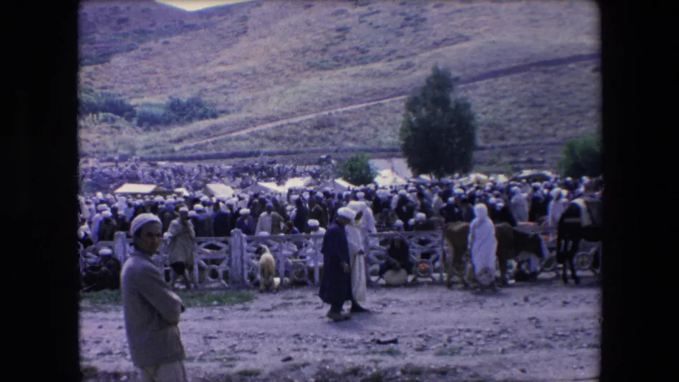 1971 Algeria 8mm frame of a rural crowd scene with a lone tree, wooden fencing, robed figures, animals, dusty ground, and sunlit hills in the background.