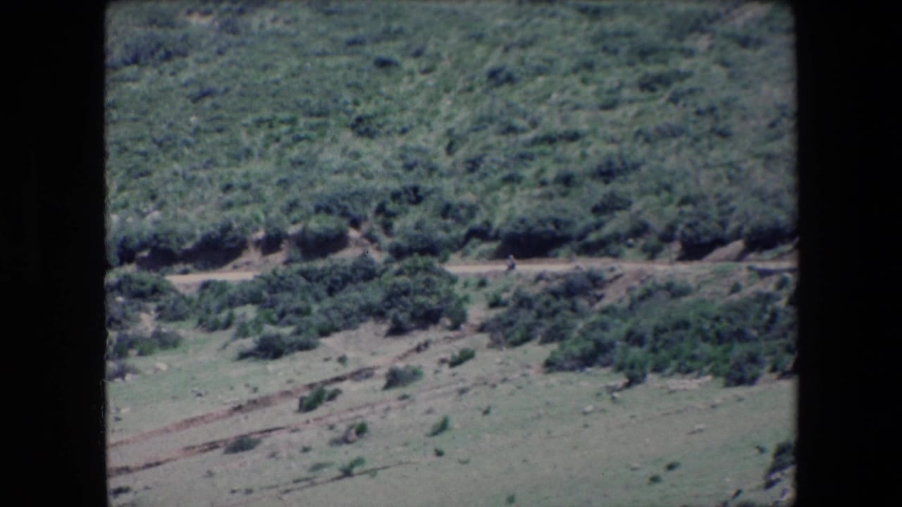Wide scrubby hillside with dirt road and open grassy slope.