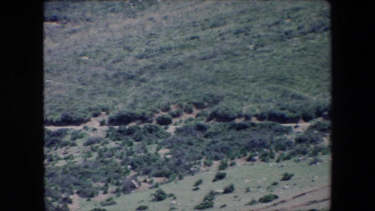 1971 Algeria 8mm frame of rugged, shrub-dotted hills where a narrow dirt road runs horizontally through the landscape.