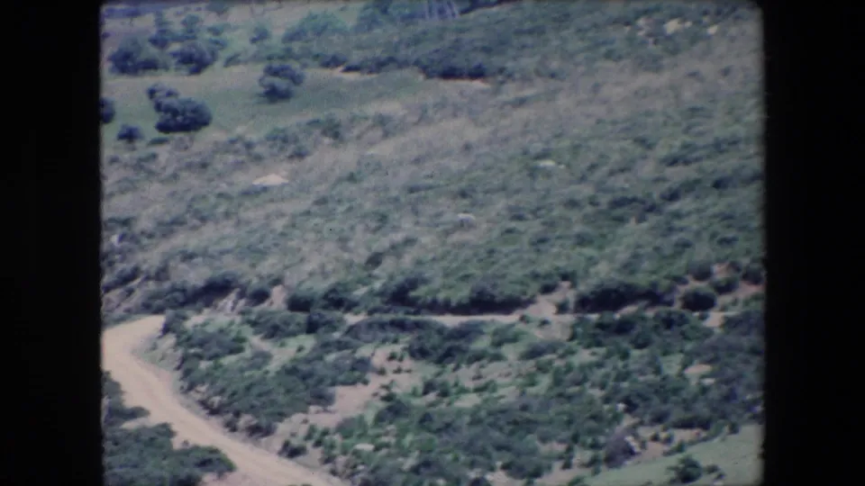 1971 Algeria 8mm frame showing a pale curving dirt road winding through sparse shrubs and dry, uneven hillside terrain.