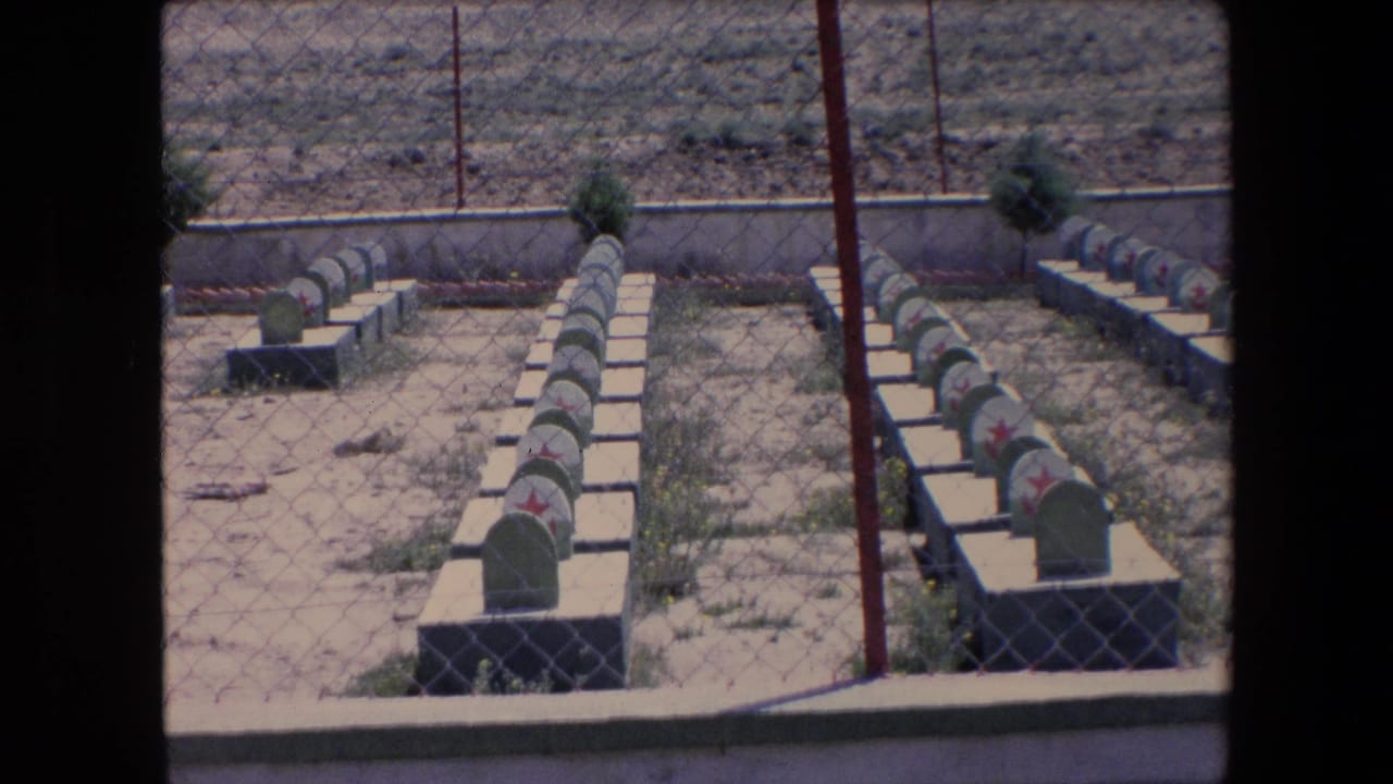 Rows of grave markers with red stars seen behind a chain-link fence.