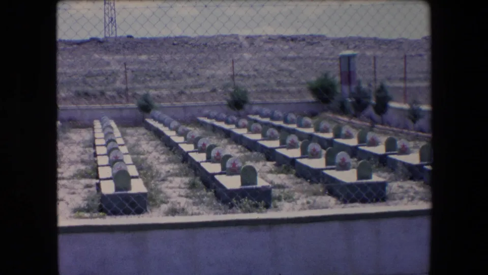1971 Algeria frame from a visitor-shot 8mm clip showing marked military-style graves, a chain-link fence, shrubs, a low boundary wall, and an official-looking structure at the cemetery edge.