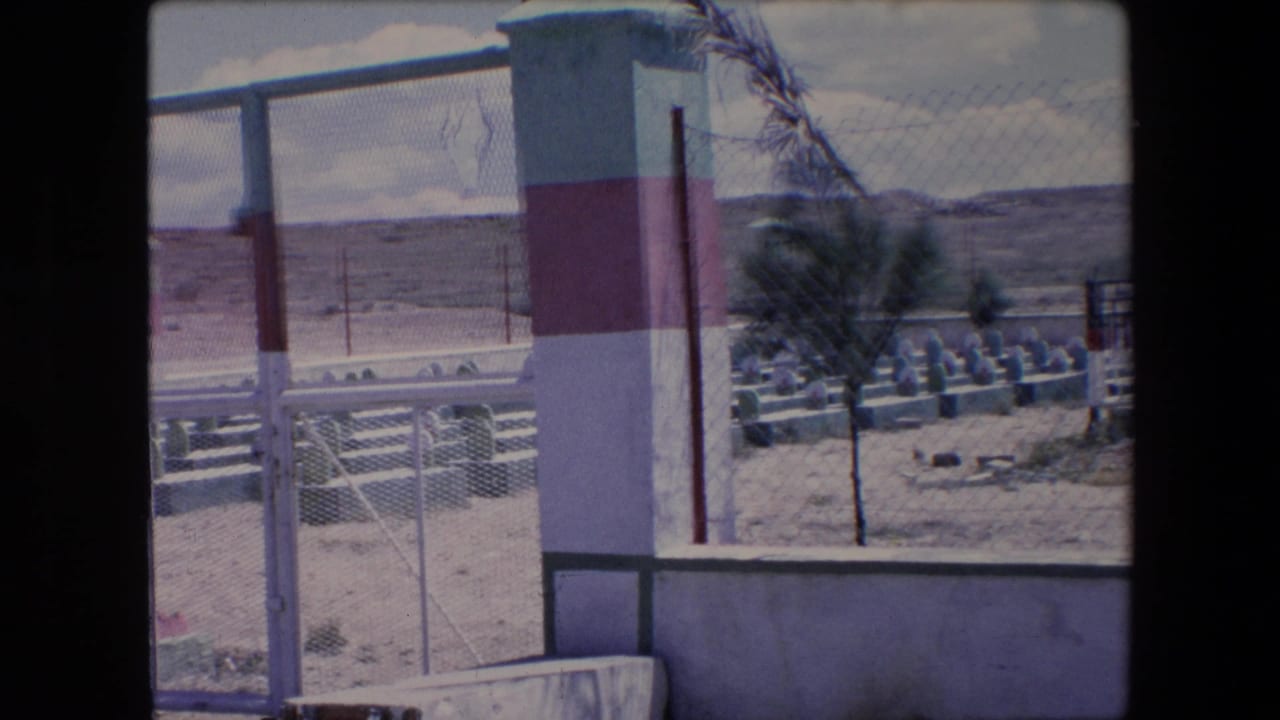 1971 Algeria home-movie frame showing a fenced view into a desert cemetery with rows of white grave markers, a small palm tree, and a red-and-white striped pillar in the foreground.