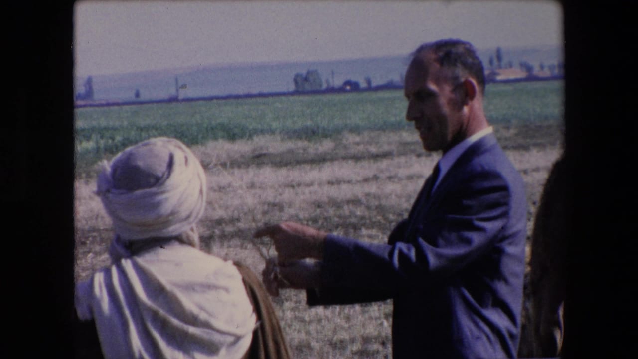 Man in a dark suit points near a person in a white head covering in a pasture.