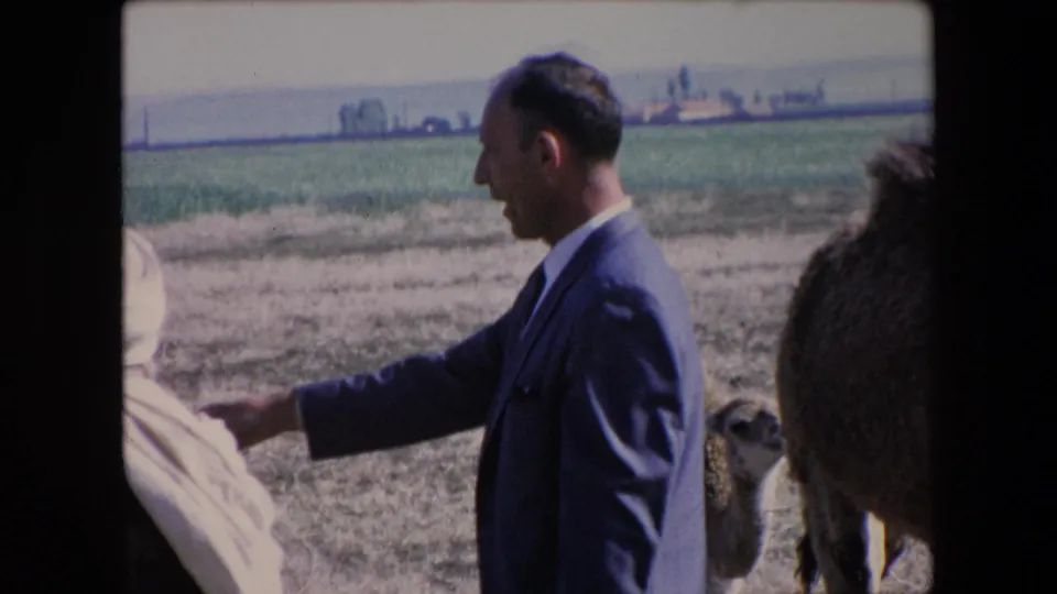 1971 Algeria 8mm frame showing a suited man in profile pointing across a dry pasture, with a camel head and another person partly visible near the frame edge.