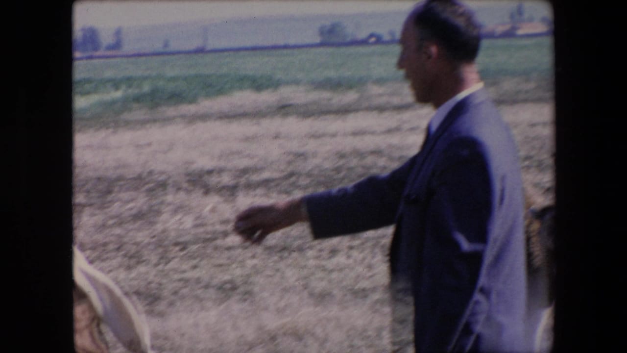 In 1971 Algeria home-movie footage, a man in a dark suit moves through a dry open field with green crops and distant trees in the background.