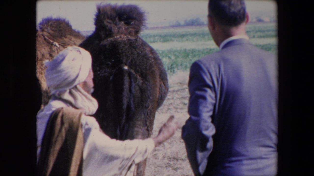 1971 Algeria 8mm frame showing a local man in white headwear and robe beside a dark camel as a traveler in a blue suit stands in a rural field.