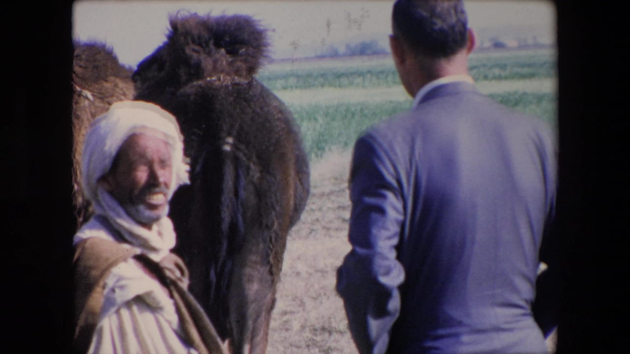 1971 Algeria 8mm frame with a smiling man in traditional white headwear looking toward the camera, a camel at center, and a suited traveler seen from behind.