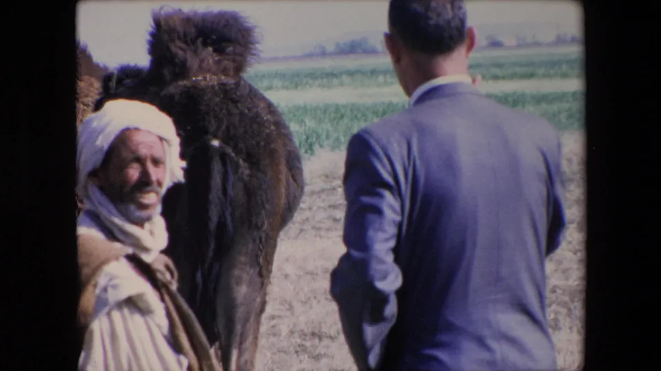 1971 Algeria 8mm frame showing the man near the camel with the traveler in a blue suit turned away, set against farmland and bright daylight.