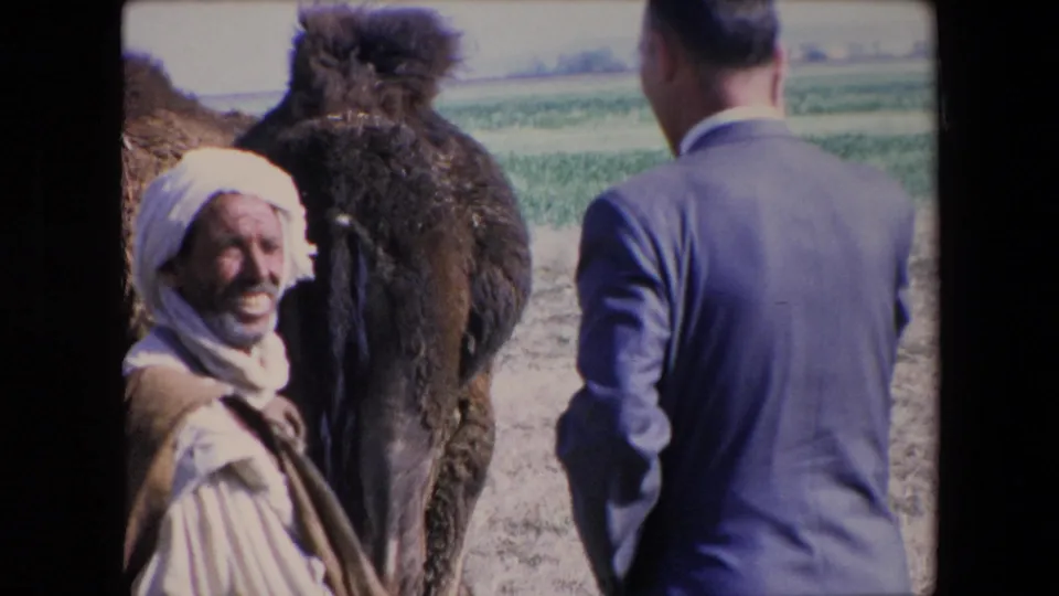 1971 Algeria 8mm frame capturing the smiling man, the large dark camel, and the suited traveler in a rural field with green farmland behind them.