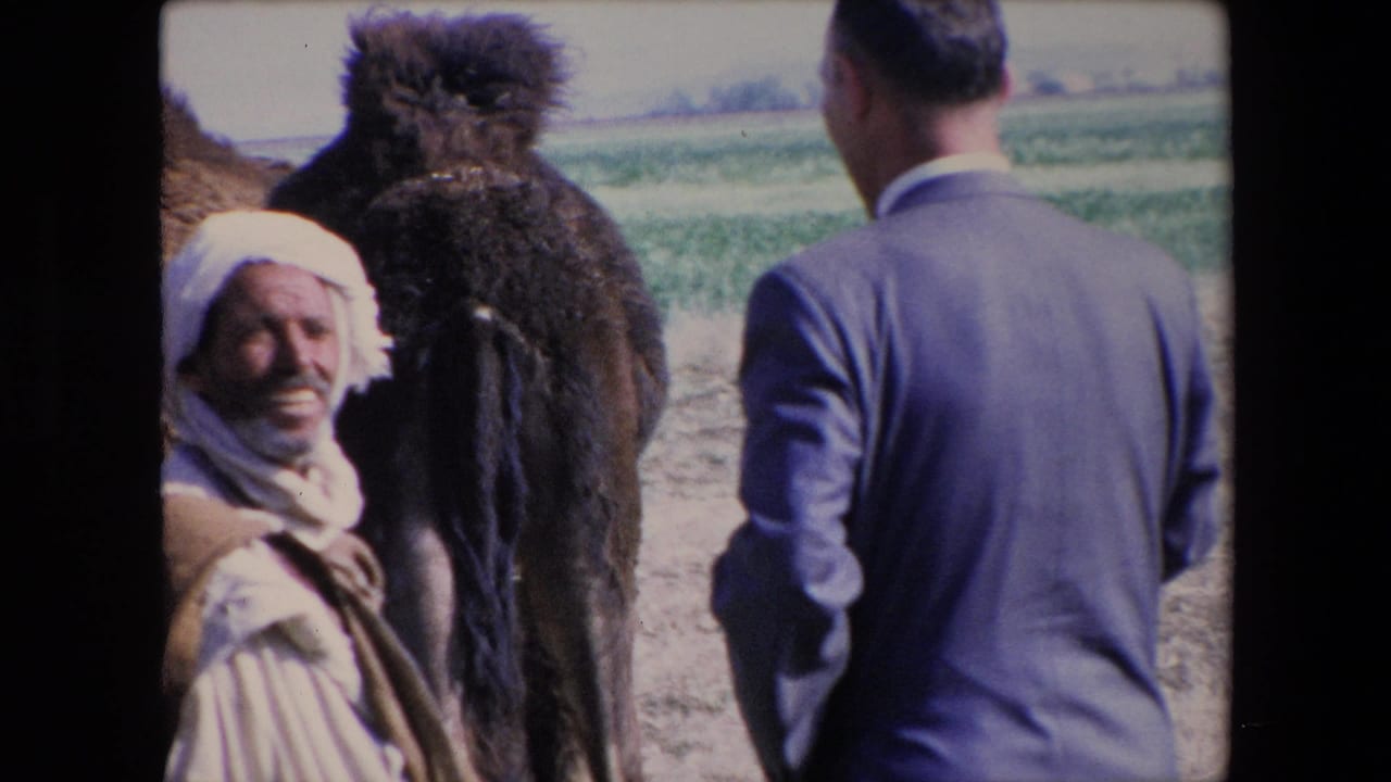 1971 Algeria 8mm frame showing an older man in white clothing and headwrap smiling near a camel while a suited visitor stands with his back to camera.