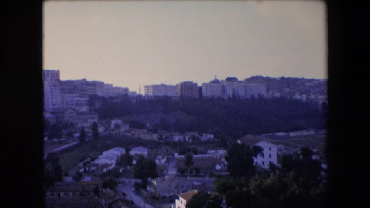 Wide view of hillside buildings and greenery under a pale sky.