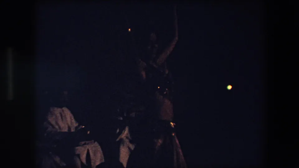 A 1971 Algeria nighttime performance frame shows a dancer with raised arm at right while a seated musician remains partly visible in the shadows.