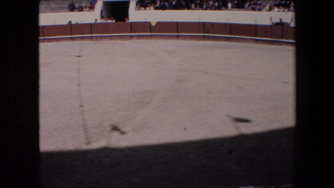 Sunlit arena floor with central ground mark, fence, and spectators in the background.