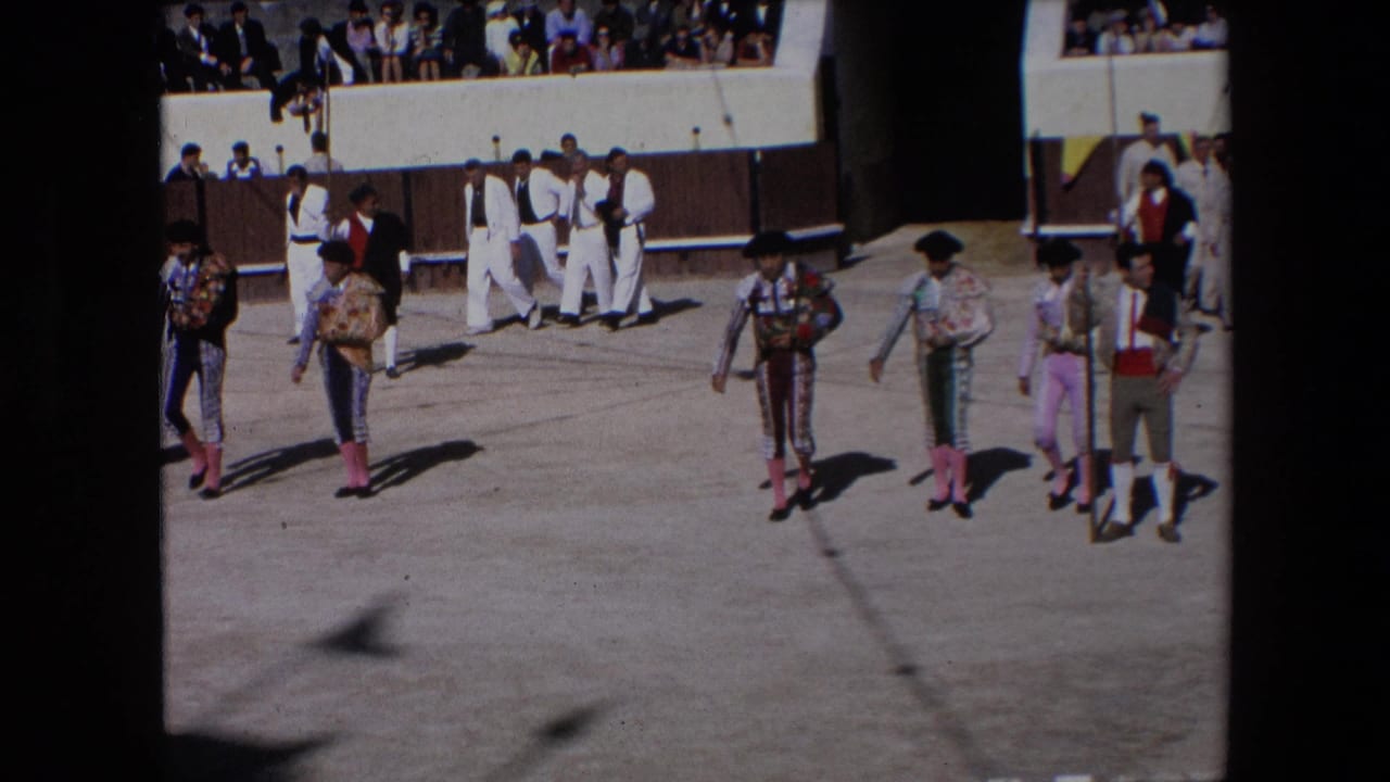 Several bullfighters and attendants move across the arena in front of crowded stands.