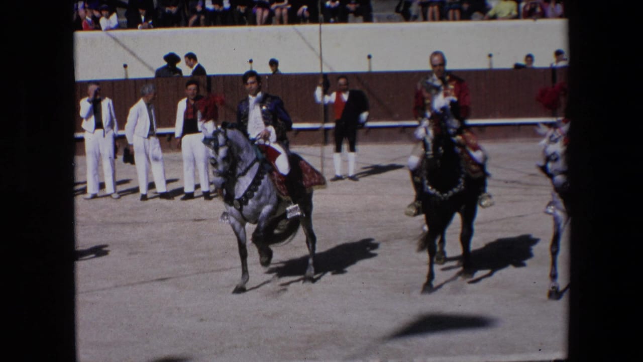 In the Barcelona arena, mounted riders guide a grey horse and a black horse during a formal demonstration before spectators and attendants in white suits.