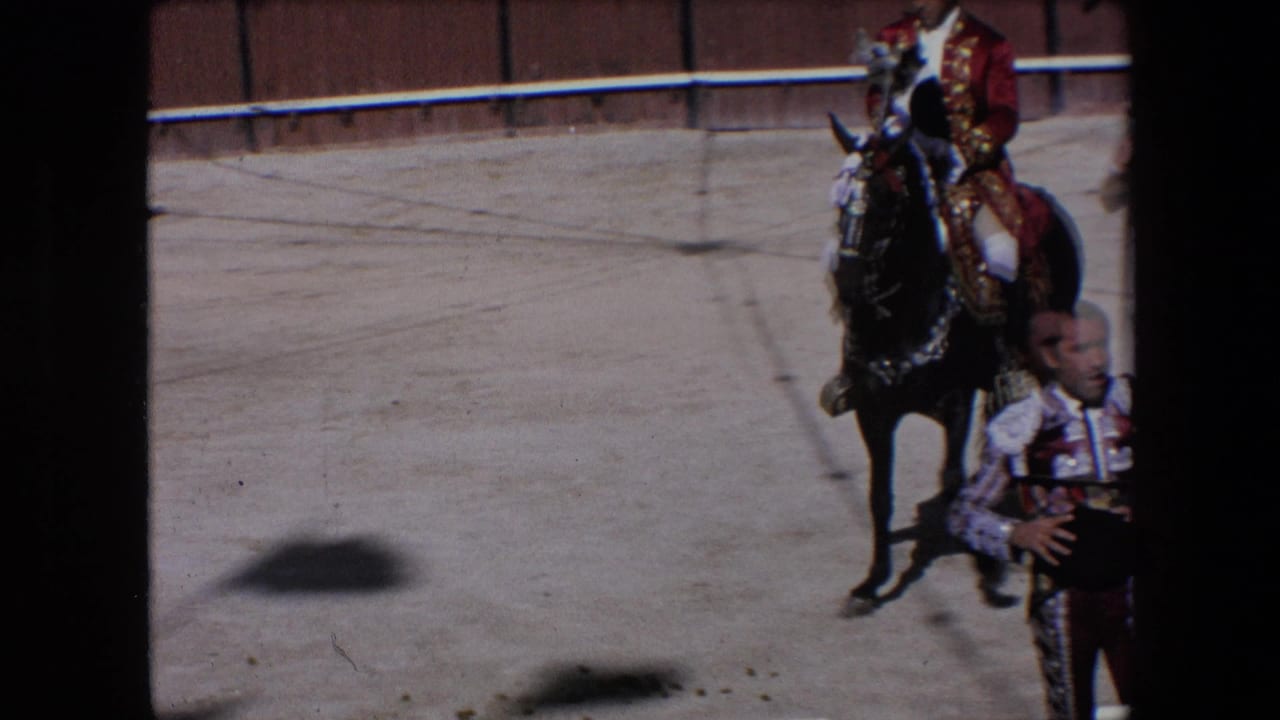 A decorated black horse and rider move across the sandy arena with a costumed man partly visible at the right edge.