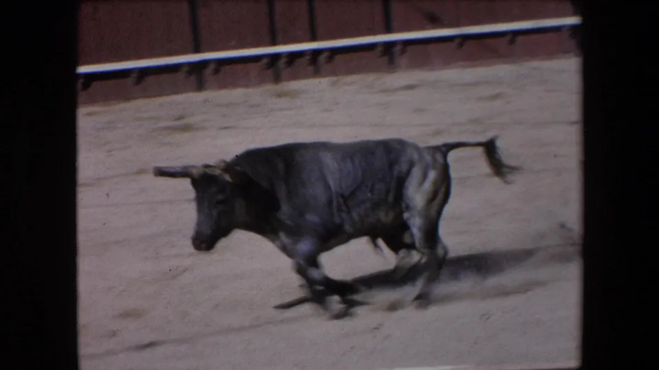 A dark bull runs low across the sandy arena in the Barcelona 8mm footage, its tail lifted and dust trailing behind its hooves.