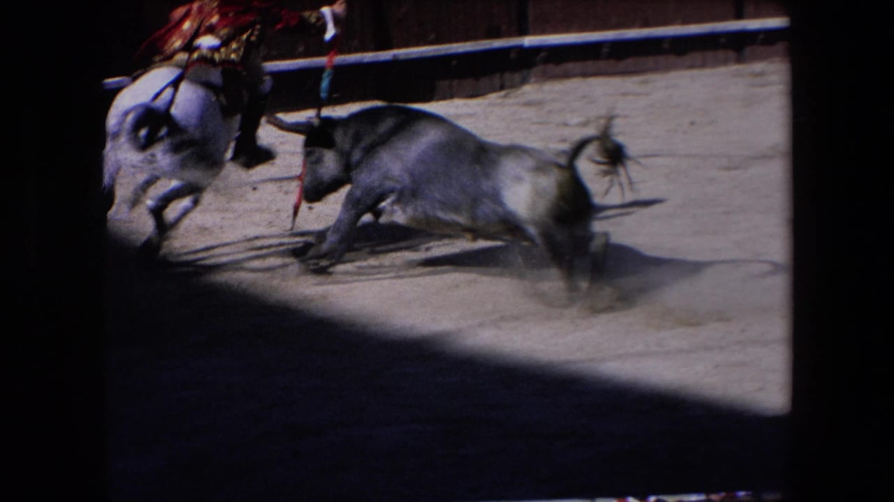 Bull charges near a mounted rider in a sunlit sand arena.