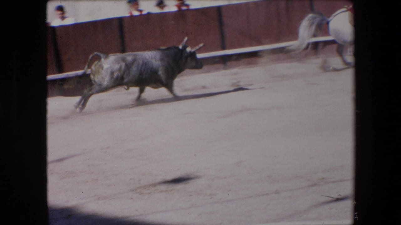 A horned bull runs from left to right across the sunlit sand arena in the supplied Barcelona 1971 home-movie clip, with a wooden barrier and distant spectators behind it.
