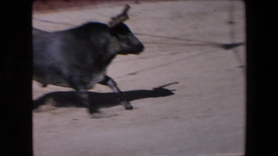 A closer, motion-blurred view shows the dark horned bull running across the sand arena in the supplied 1971 Barcelona bullfighting footage, with sharp daylight shadow beneath it.