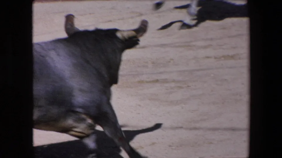 The bull moves across the sandy ring while part of a white horse appears at the edge, consistent with the supplied 1971 Barcelona bullfighting metadata.
