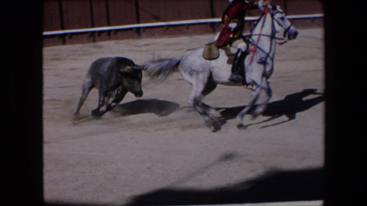 In 1971 Barcelona bullfight footage, a dark bull runs near a light gray horse ridden by a torero in red and gold dress inside a dusty arena.