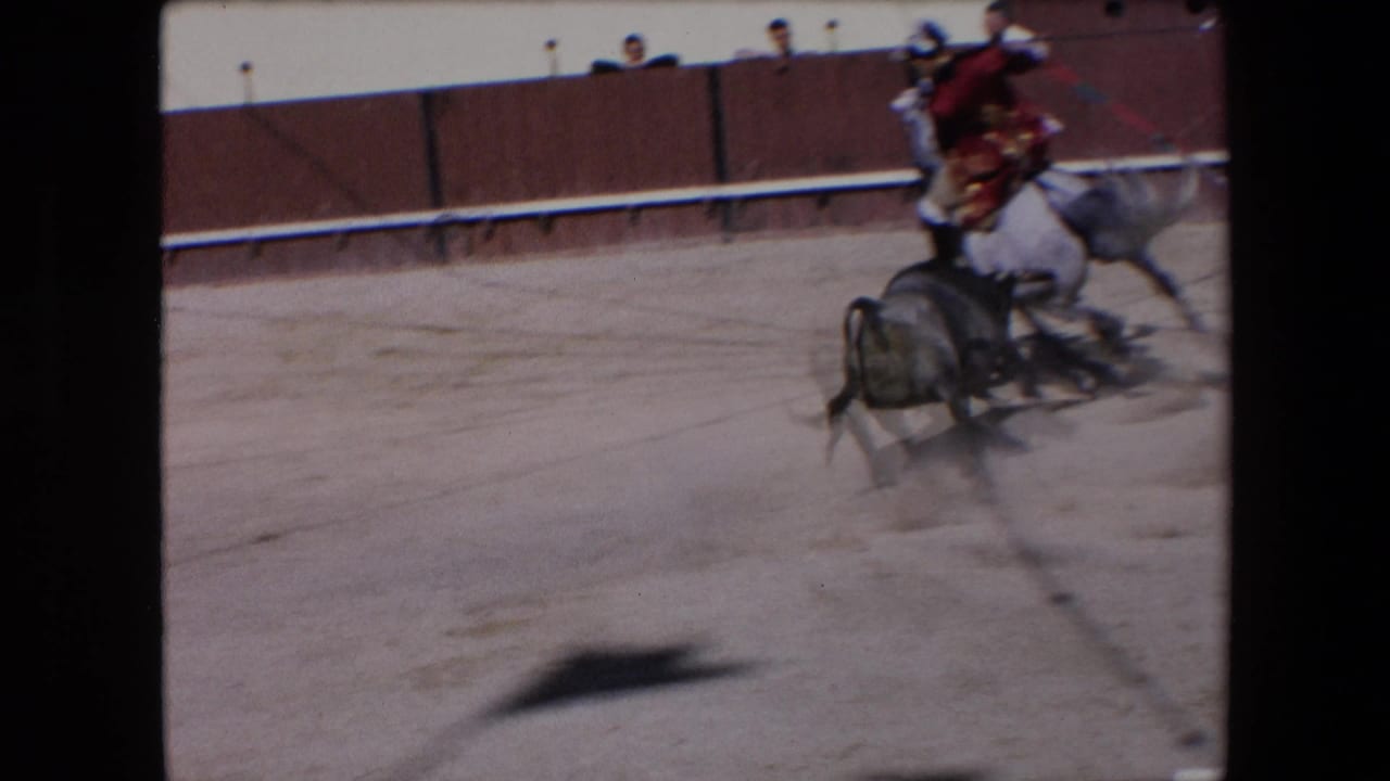 A mounted torero on a light gray horse moves past a dark bull during the Barcelona bullfight, with dust and arena boards visible behind them.
