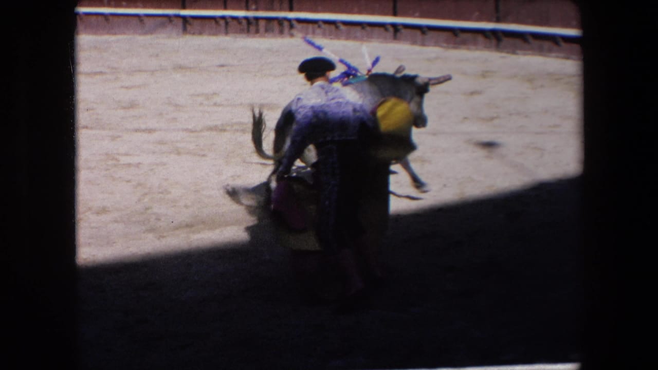 Matador stands close to a bull carrying colored banderillas.