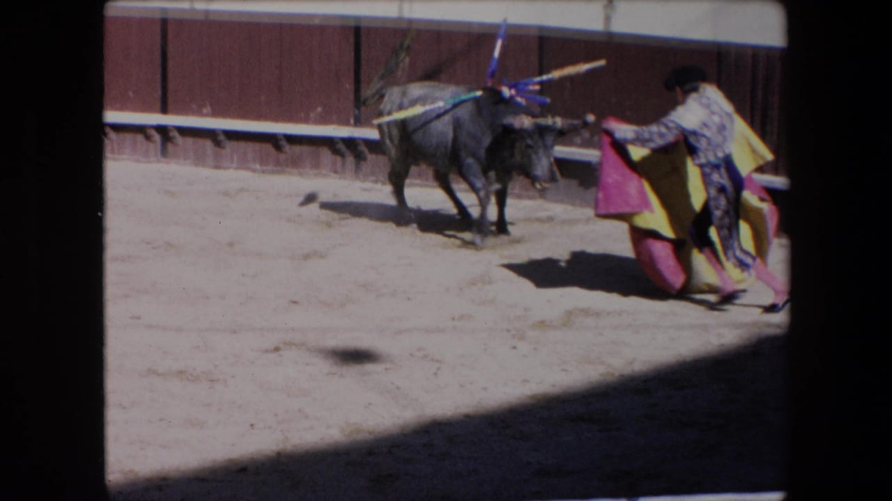 The bull faces a matador holding a red and yellow cape in the sunlit arena, with banderillas visible on the animal's back.