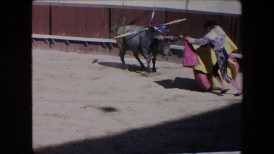 The bull faces a matador holding a red and yellow cape in the sunlit arena, with banderillas visible on the animal's back.