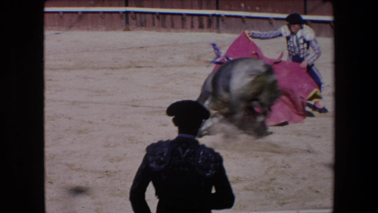 In the sunlit Barcelona arena, the bull moves through the cape pass while a dark-suited arena figure is silhouetted in the foreground.