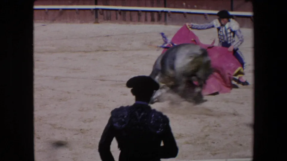 In the sunlit Barcelona arena, the bull moves through the cape pass while a dark-suited arena figure is silhouetted in the foreground.